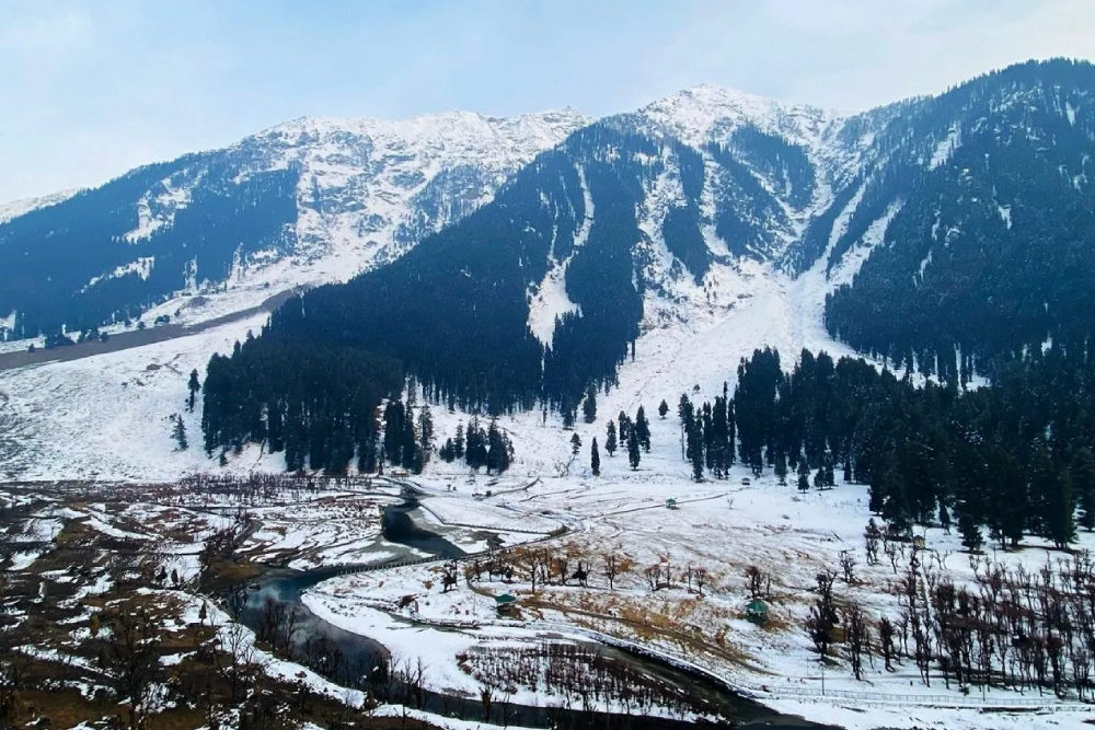 Honeymoon Special In Kashmir