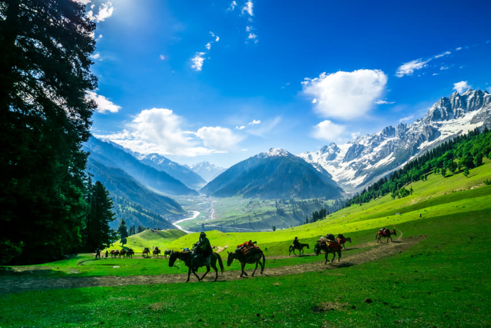 Honeymoon Special In Kashmir